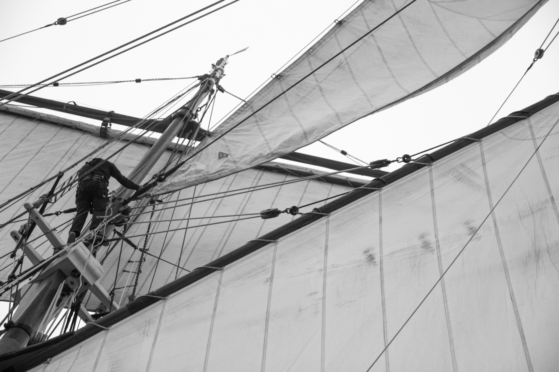 L' Oeil Noir Photographe